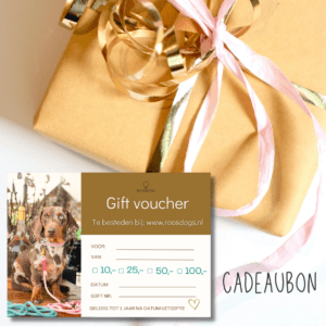 Cadeaubon - Feest in de brievenbus!