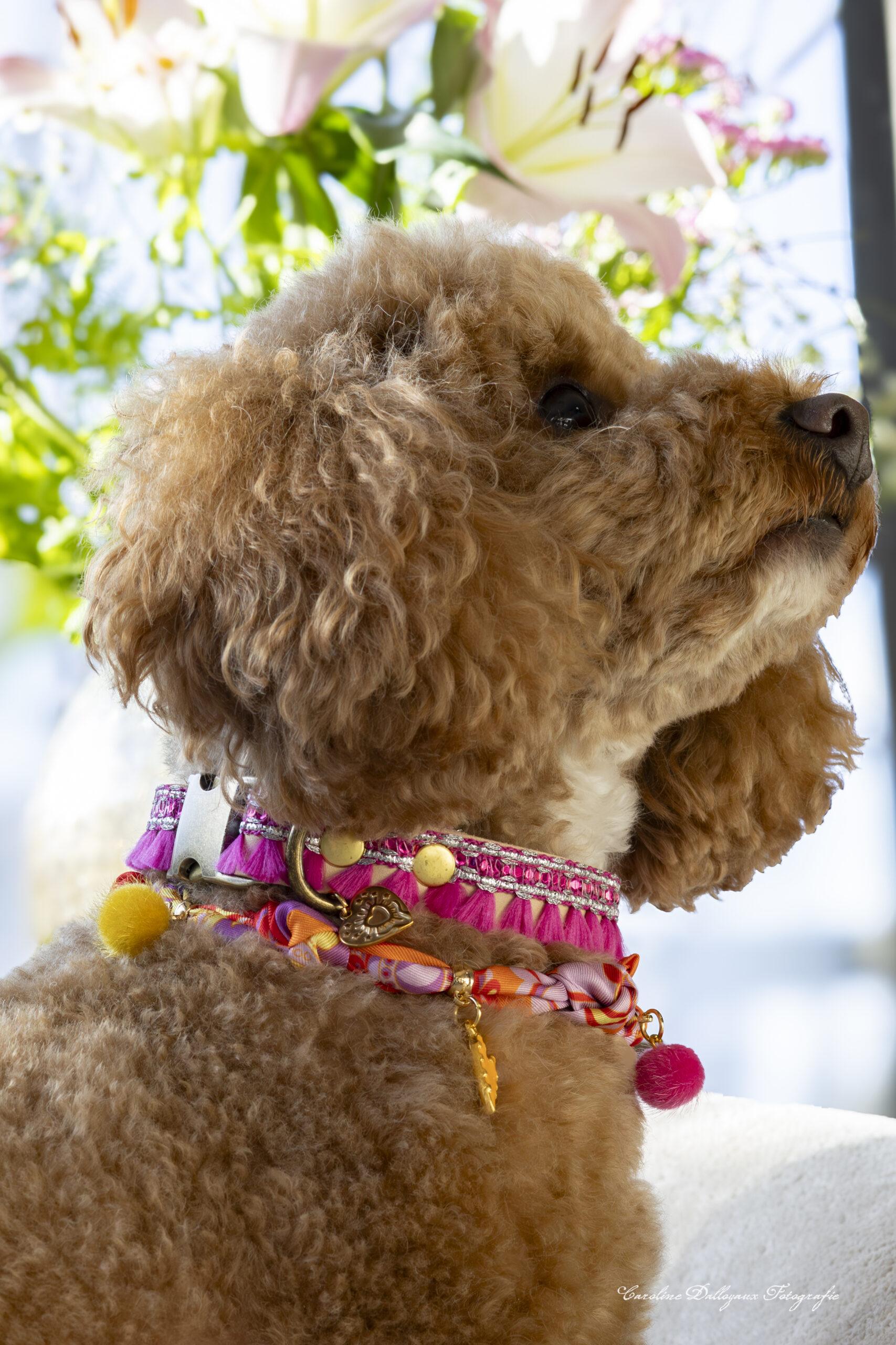 Lerenhalsband Happy fuchsia - LIMITED EDITION - Afbeelding 4