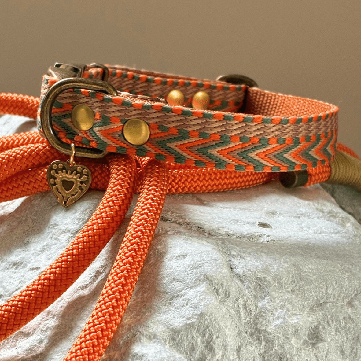 Halsband Ziggy Coco - Afbeelding 2